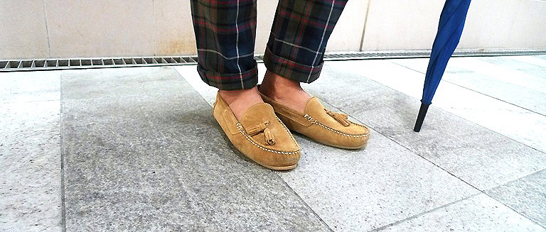 waye_guess_apc_shentonista_28102011