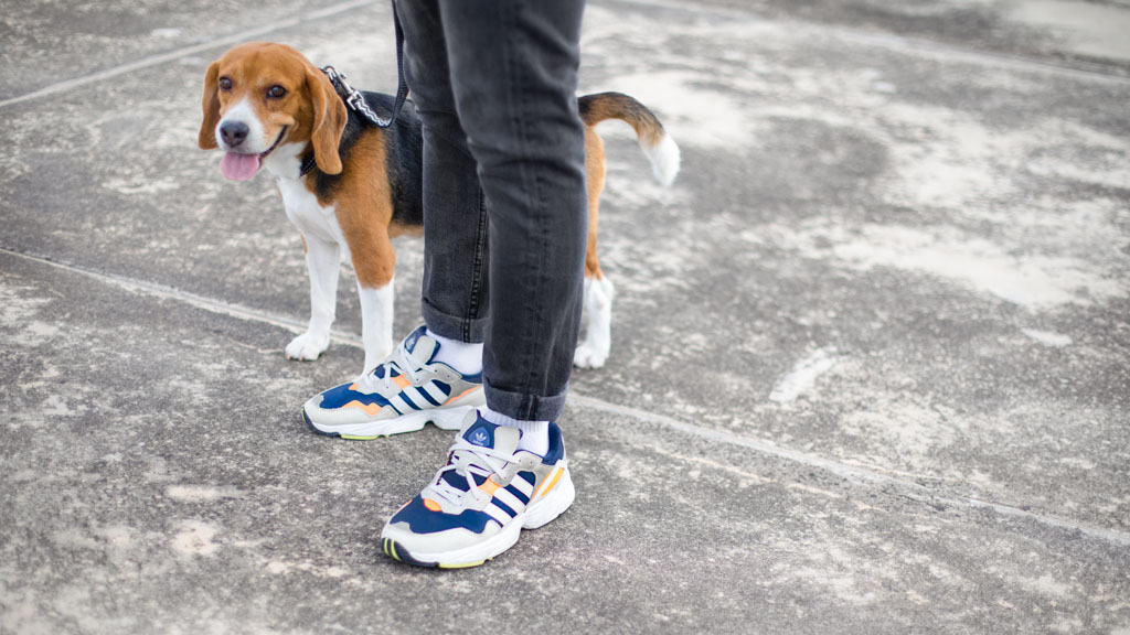 Jeremy-Student-Singapore-Top_ASOS-Pants_Pull__Bear-Jacket_Carhartt-Shoes_Adidas-Watch_Casio-UNIFORM-22112019-1