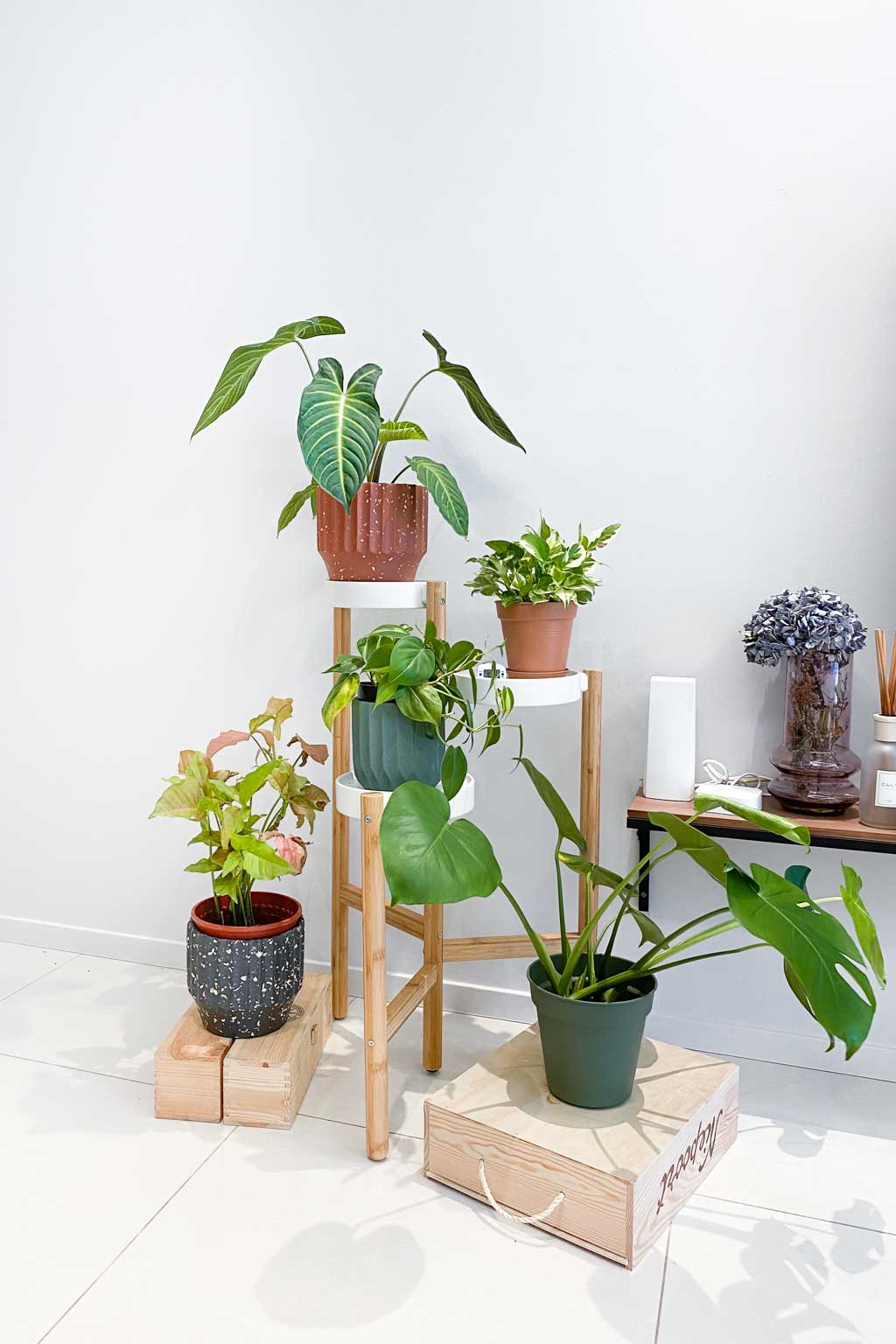 Anette-Advertising-Singapore-Top_Collusion-Pants_Marni-Earrings_Monki-UNIFORM-26062020-4