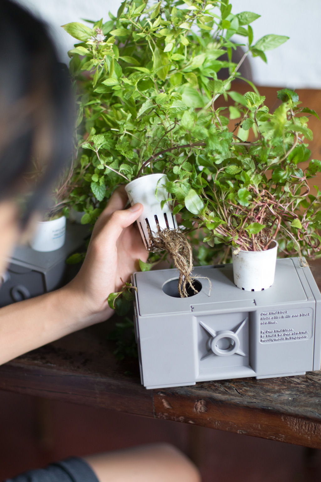 Dylan-Student-Shirt_Uniqlo-Shoes_Hush_Puppies-UNIFORM-01052021-2