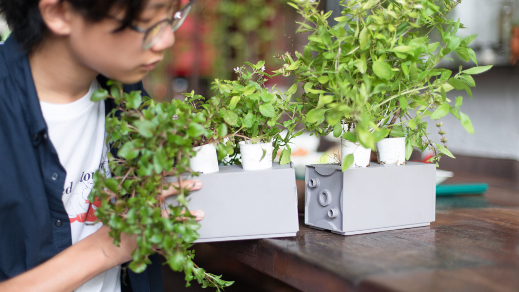 Dylan-Student-Shirt_Uniqlo-Shoes_Hush_Puppies-UNIFORM-01052021-3