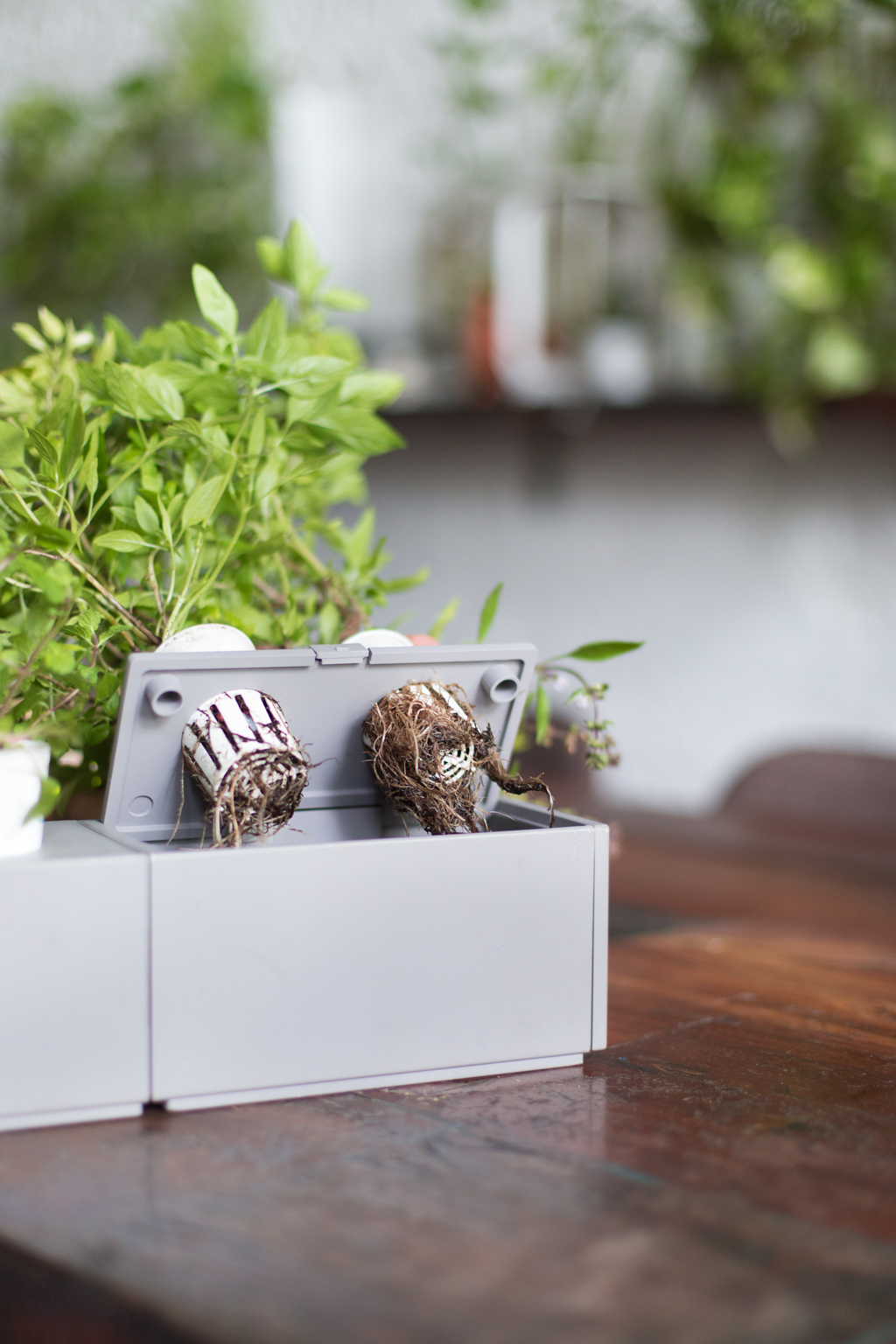 Dylan-Student-Shirt_Uniqlo-Shoes_Hush_Puppies-UNIFORM-01052021-4