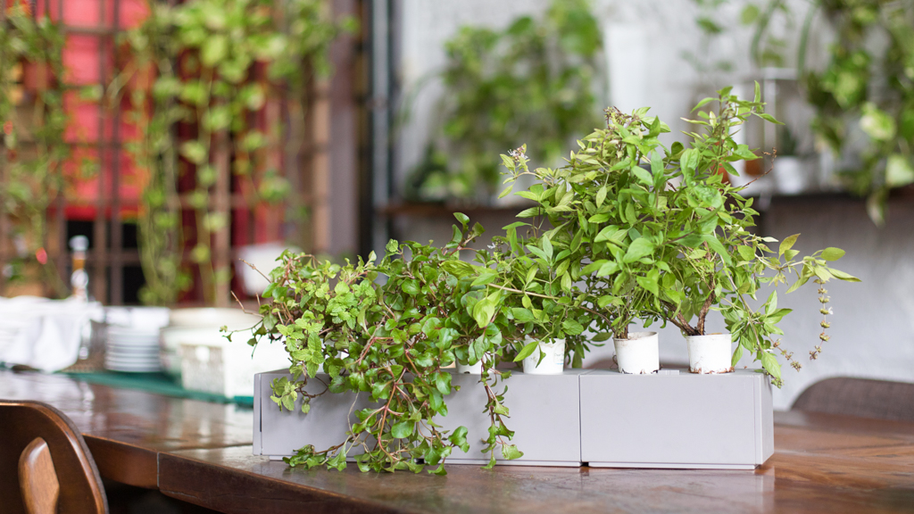 Dylan-Student-Shirt_Uniqlo-Shoes_Hush_Puppies-UNIFORM-01052021-6