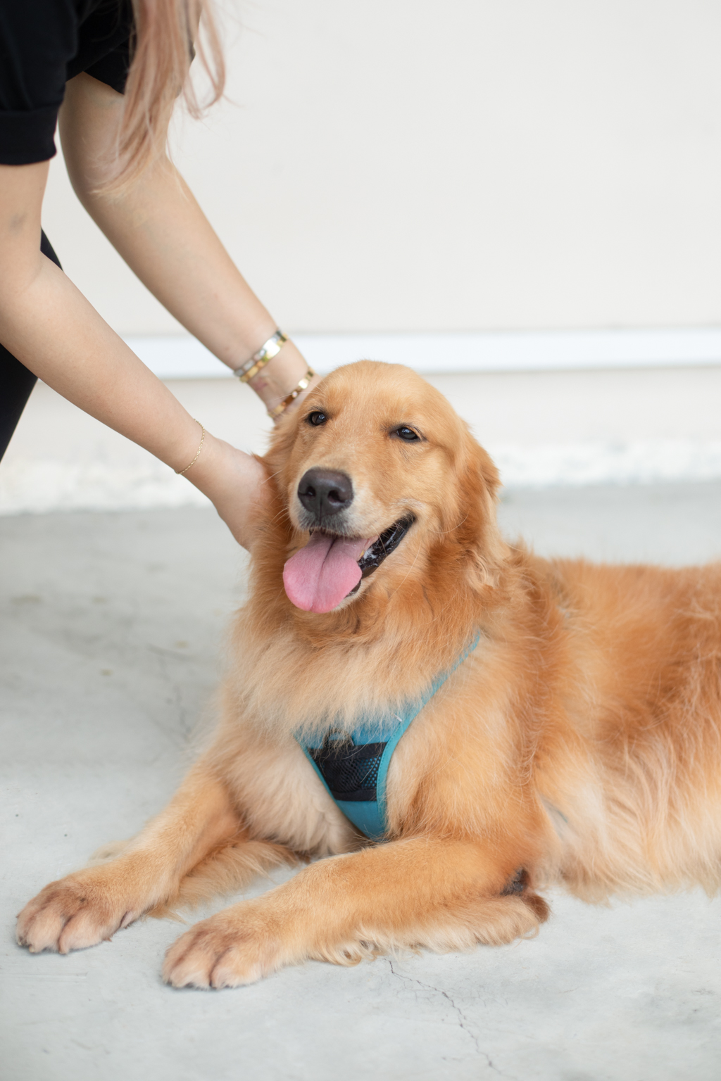 Elvina-Singaporean-Entrepreneur-Top_Freedom_Yoga-Leggings_lululemon-Sandals_Havaianas-Bangles_Cartier-UNIFORM-30012024-3