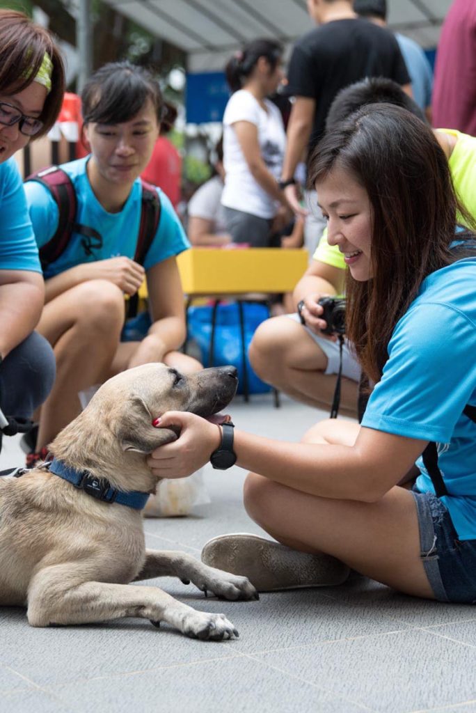Family Pawtraits — SOSD Flag Day & Adoption Drive