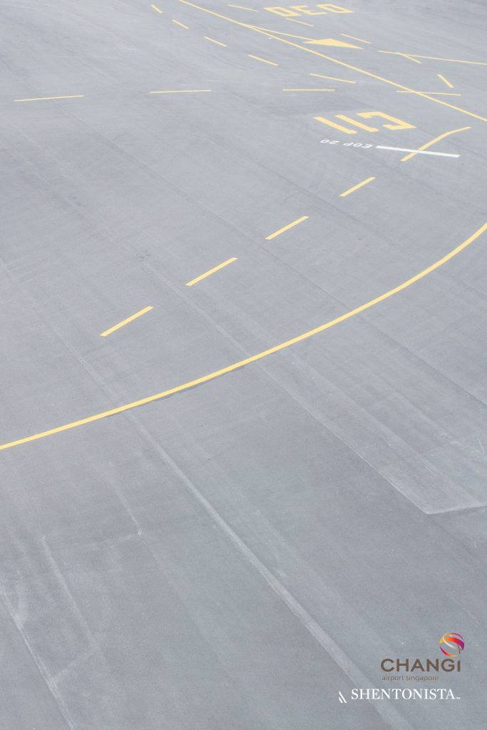 Changi Airport x Shentonista: Changinista