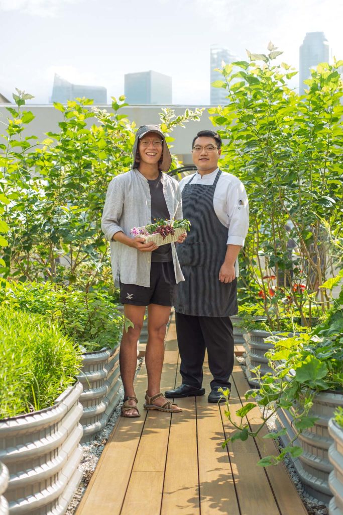 STB x Shentonista — Farming For Good